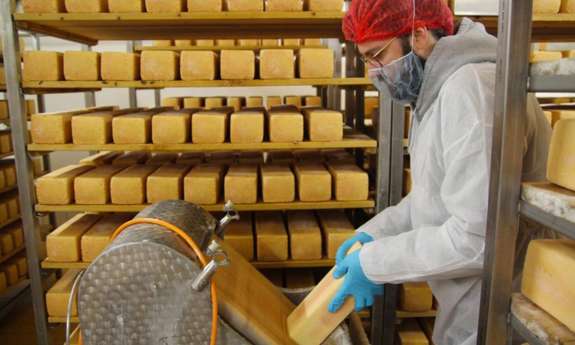 Holtseer Landkäserei