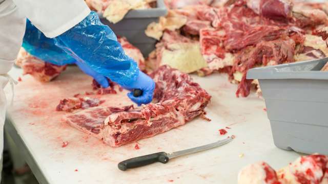 Skärning av kött